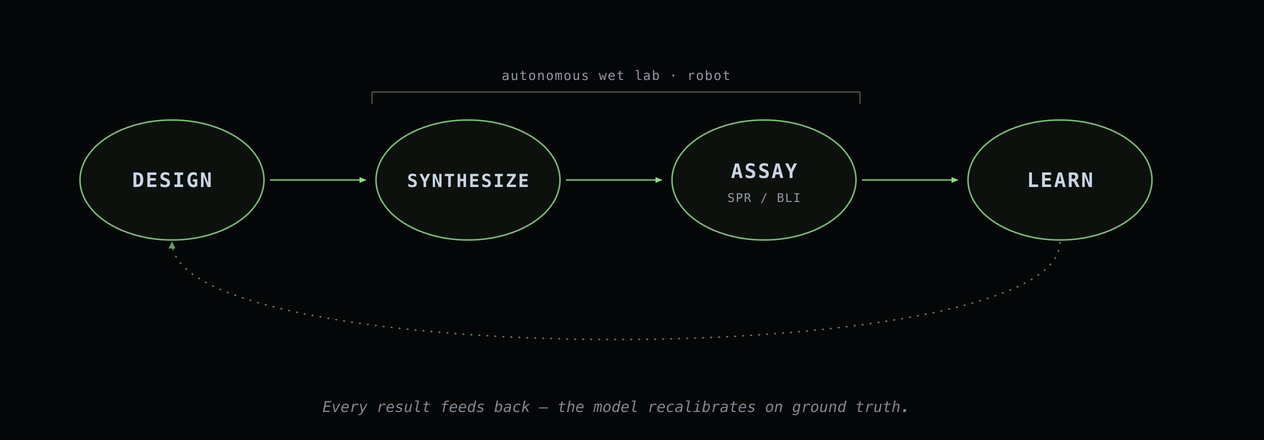 The robot loop: Design, Synthesize, Assay, Learn, with results feeding back into Design